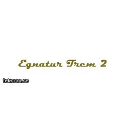 Egnatur Custom III + SP Headless Black Trem2 Demo
