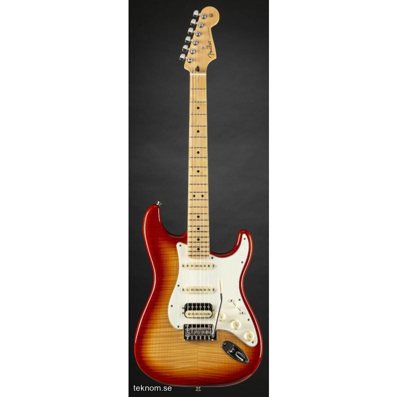 Fender Ltd Ed Player Stratocaster HSS