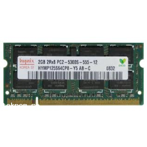 2GB SODIMM (BEG)