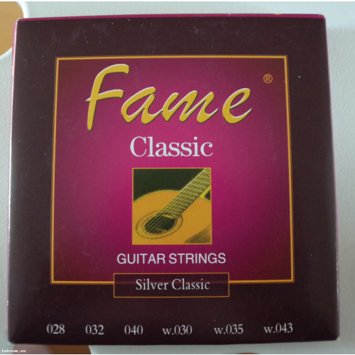 Fame Nylon